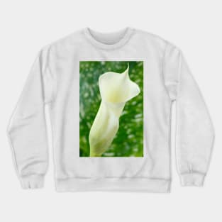 Zantedeschia  'Black Eyed Beauty'  Arum lily Crewneck Sweatshirt